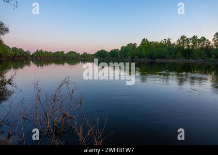 Potamologia. Grande fiume Don nel mezzo. Fiume la sera prima del tramonto. Foresta costiera. Sorgente e acqua alta Foto Stock