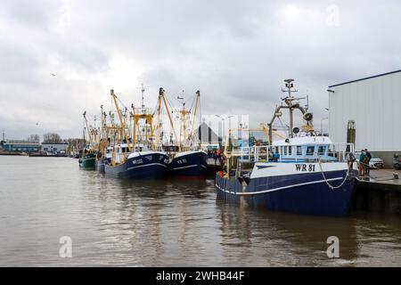 DEN OEVER - pescatori di gamberi durante un'azione nel porto di Den Oever. I pescatori protestano contro, tra l'altro, la Wadden Association, che sta tentando di fermare la pesca dei gamberetti nel Mare di Wadden attraverso i tribunali. ANP ANTON KAPPERS netherlands Out - belgio Out Foto Stock