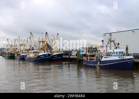 DEN OEVER - pescatori di gamberi durante un'azione nel porto di Den Oever. I pescatori protestano contro, tra l'altro, la Wadden Association, che sta tentando di fermare la pesca dei gamberetti nel Mare di Wadden attraverso i tribunali. ANP ANTON KAPPERS netherlands Out - belgio Out Foto Stock