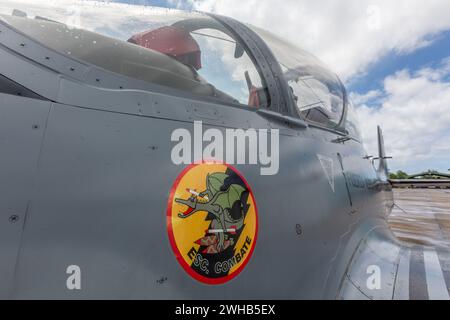 Simbolo di drago da squadrone di combattimento su un aereo da caccia Super Tucano presso la base aerea di San Isidro nella Repubblica Dominicana. Foto Stock