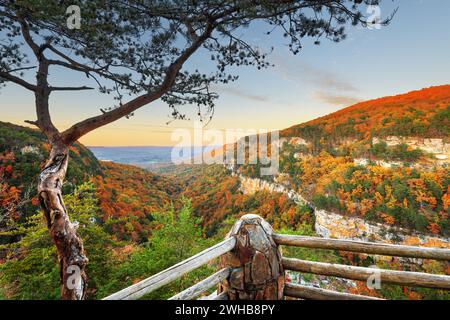 Cloudland Canyon, GEORGIA, STATI UNITI D'AMERICA Autumn Landscape al crepuscolo. Foto Stock