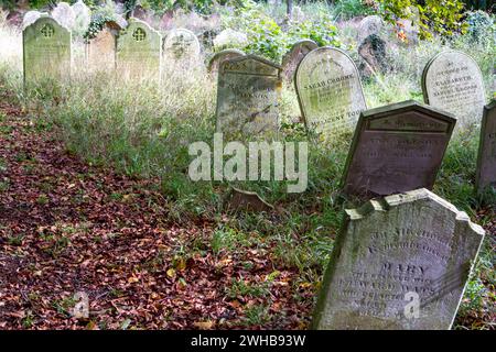 Circondato da erba lunga e foglie marroni autunnali alcune lapidi vittoriane si aprono nel cimitero della città mercato di Suffolk, Framlingham. Foto Stock