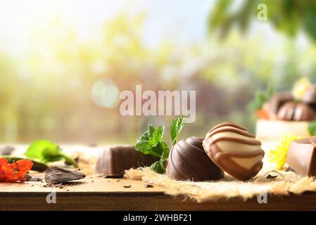 Dettaglio dei cioccolatini dell'agricoltura biologica su un panno in burlap su una tavola di legno con foglie di menta e fiori con campi di raccolta alle spalle. Vista frontale. Foto Stock