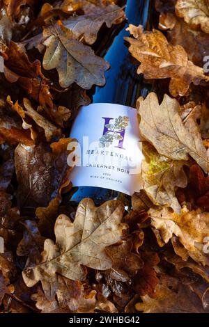 Cabernet Noir 2022 bottiglia di vino inglese, annidata tra le foglie di quercia autunnale. Heartenoak Vineyard, Heartenoak Rd, Hawkhurst, Cranbrook, Kent, Inghilterra. Foto Stock