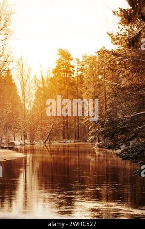 Il tramonto dorato o la luce dell'alba sul piccolo fiume nella foresta invernale, gli alberi sulla riva del fiume si illuminano di luce dorata durante il tramonto o l'alba Foto Stock