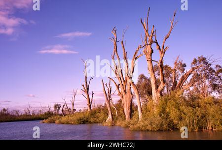 Alba sul fiume murray Foto Stock