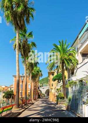 Strada con palme nella città di Bogliasco nel sud Italia Foto Stock