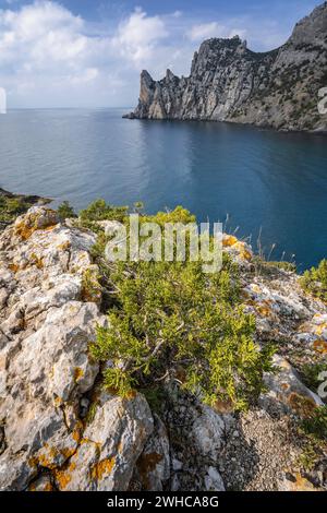 Vista panoramica sul monte Karaul-Oba e sulla baia blu in Crimea, località New Light, Federazione Russa. Foto Stock