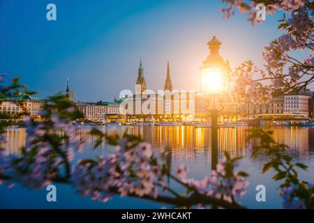 Brucia lanterna tra rami di fiori di ciliegio sul tranquillo e bellissimo fiume Alster e il municipio di Amburgo - Rathaus in primavera al crepuscolo serale subito dopo l'ora d'oro. Panoramica. Foto Stock