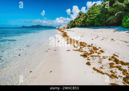 Anse Source d'Argent paradiso come spiaggia con rocce surreali, acque lagunari poco profonde sull'isola di la Digue alle Seychelles. Foto Stock