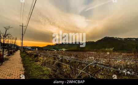 Paesaggio invernale di comunità agricola con il sole tramontare dietro le montagne in lontananza nella Corea del Sud Foto Stock