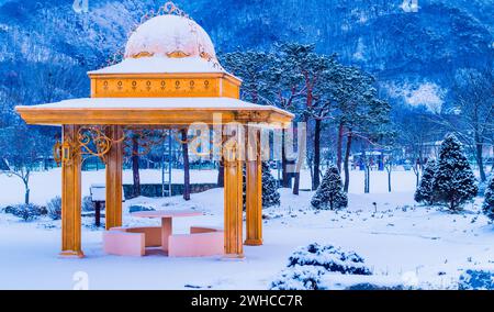 Paesaggio invernale di uno splendido gazebo in un parco pubblico coperto da neve bianca soffice con alberi sullo sfondo in Corea del Sud Foto Stock