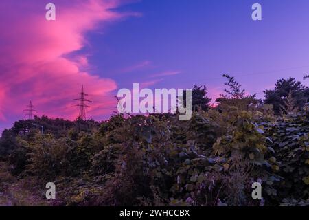 Cielo blu con grandi nuvole rosa dietro torri elettriche sulla cima di una collina di pini Foto Stock