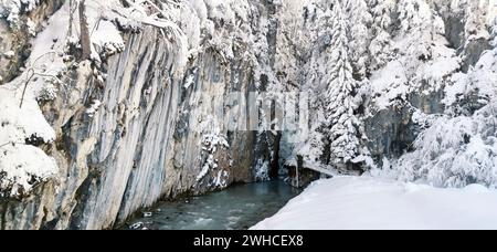 Alberi di filigrana ricoperti di neve sulla Leutascher Ache vicino a Mittenwald, nell'alta Baviera Foto Stock