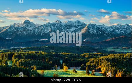 Alba sulle colline ai piedi delle Alpi vicino a Füssen. Affacciato su montagne innevate autunnali. Tannheimer Gruppe, con Gehrenspitze, Köllenspitze e Großer Schlicke. Alpi di Allgäu, Baviera, Tirolo, Germania, Austria Foto Stock