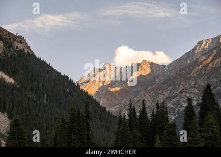 Vette montuose alla luce della sera, valle di montagna verde con foresta, Chong Kyzyl Suu Valley, Terskey Ala Too, Monti Tien-Shan, Kirghizistan Foto Stock