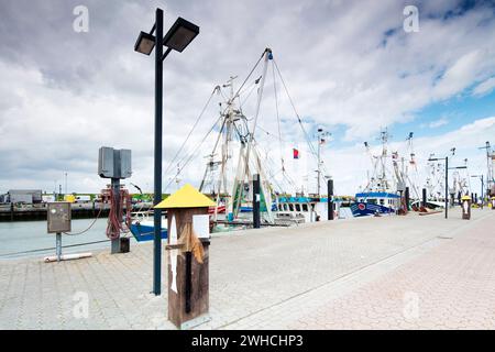 Croci nere, protesta, cestini nel porto, turismo, pescatori, diga, Dornumersiel, Frisia orientale, Mare del Nord, Germania, Foto Stock