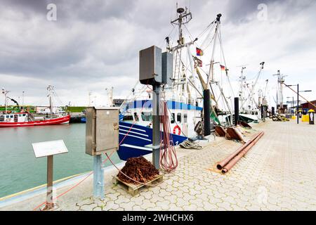 Croci nere, protesta, cestini nel porto, turismo, pescatori, diga, Dornumersiel, Frisia orientale, Mare del Nord, Germania, Foto Stock