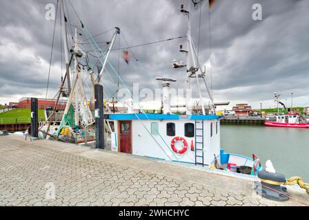 Croci nere, protesta, cestini nel porto, turismo, pescatori, diga, Dornumersiel, Frisia orientale, Mare del Nord, Germania, Foto Stock