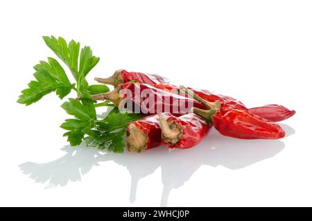 Peperoncino rosso o peperoncino e foglie di prezzemolo Foto Stock