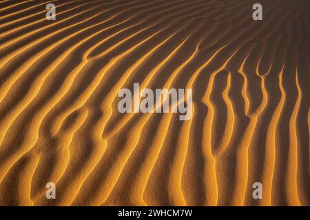 Strutture di sabbia, deserto Rub al Khali, il più grande deserto di sabbia sulla terra, quartiere vuoto, Oman Foto Stock