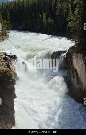 Cascata Sunwapta Falls, fiume Sunwapta, Icefields Parkway, Jasper National Park, Alberta, Canada Foto Stock