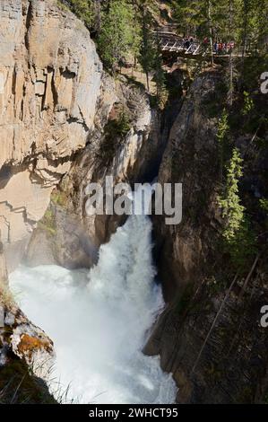 Cascata Sunwapta Falls, fiume Sunwapta, Icefields Parkway, Jasper National Park, Alberta, Canada Foto Stock