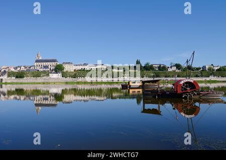 Vista sulla città di Blois con la cattedrale di Saint-Louis, Blois, il dipartimento Loir-et-Cher, la regione Centre-Val de Loire, Francia Foto Stock