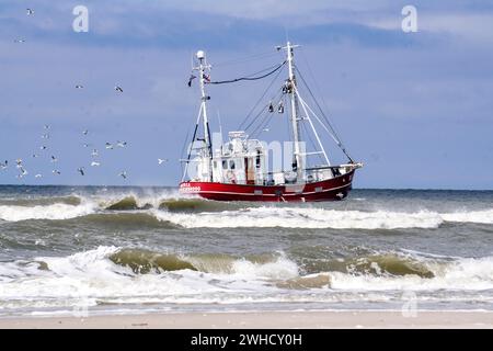 Barca da pesca per la cattura di pesci sulla spiaggia di Sueddorf, Isola di Amrum, 27/05/2021 Foto Stock