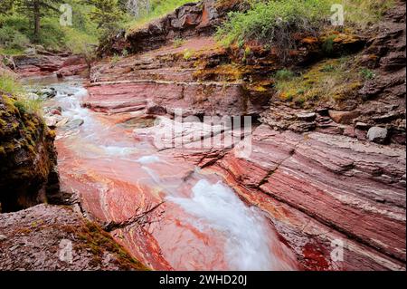 Il Red Rock Canyon, il Parco Nazionale dei laghi di Waterton, Alberta, Canada Foto Stock