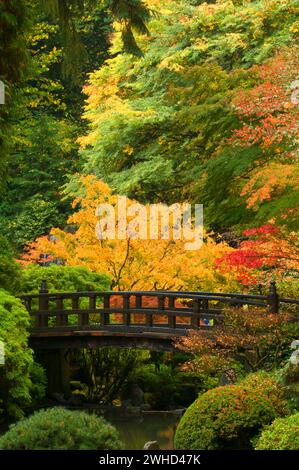 Moon Bridge, Portland Japanese Garden, Washington Park, Portland, Oregon Foto Stock