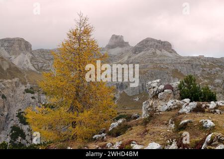 Percorso circolare delle tre Cime tra Dreizinnenhütte e rifugio Auronzo, alta Pusteria, Dolomiti di Sesto, Provincia di Bolzano, Trentino-alto Adige, alto Adige, alto Adige, Alpi, Dolomiti, Parco naturale delle tre Cime, Italia Foto Stock