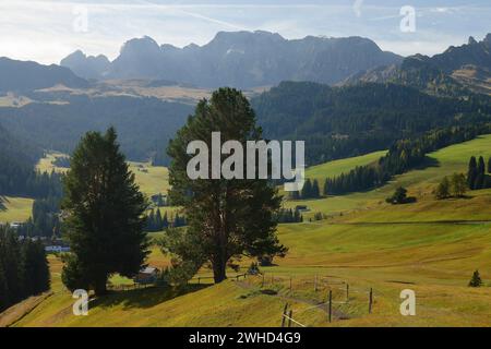 Vista dal sentiero circolare dell'Alpe di Siusi verso il Rosengarten (3002 m) in autunno, il Parco naturale Sciliar-Rosengarten, la Val Gardena, la Provincia di Bolzano, l'alto Adige, alto Adige, Alpi, Dolomiti, Trentino-alto Adige, Italia, Italia Foto Stock