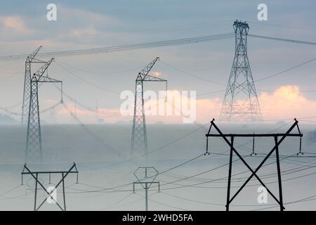 Africa, provincia di Gauteng, Powerlines, riserva naturale di Rietvlei, Sudafrica, giorno, nessuna gente, all'aperto, alba, Eskom, elettricità, tralicci elettrici, linea elettrica, silhouette, Sky Foto Stock