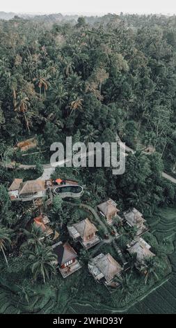 Alcuni giardini lussureggianti brulicanti di alberi, acqua e terra nella proprietà Foto Stock