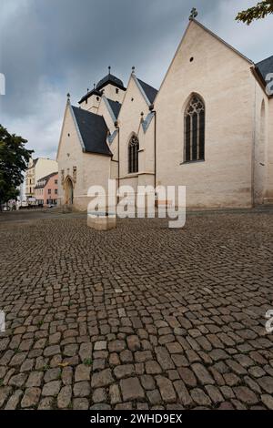 Michaeliskirche Zeitz, Burgenlandkreis, Sassonia-Anhalt, Germania Foto Stock