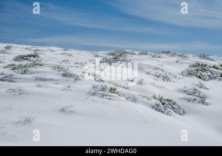 Paesaggio di Serra da Estrela Foto Stock