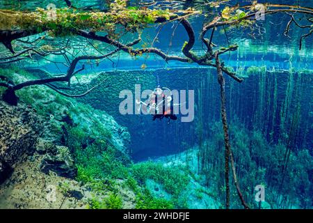 Fotografo subacqueo in un lago di primavera in Italia Foto Stock