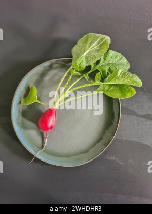 Un ravanello rosso con verdure e foglie appena raccolte sul piatto Foto Stock