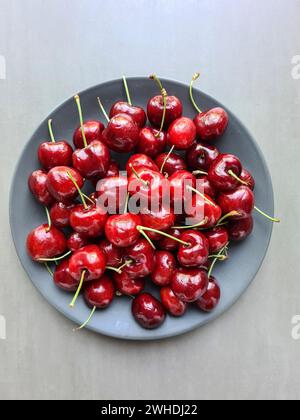 Le ciliegie rosse scure appena raccolte giacciono su un piatto grigio Foto Stock