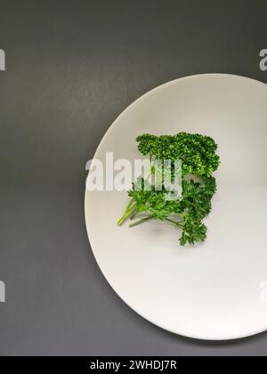 Solo un piatto bianco con prezzemolo riccio verde su sfondo grigio Foto Stock