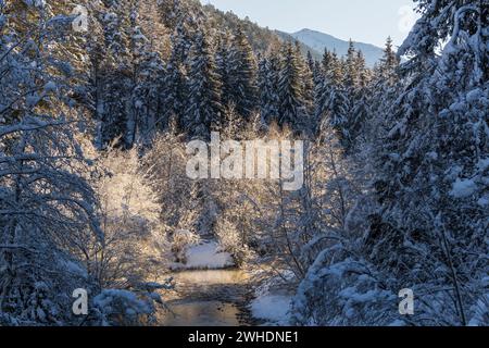 Sextenbach, Valle di Sesto, Sesto, alto Adige, Italia Foto Stock