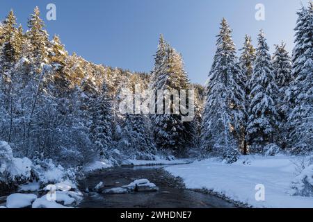 Sextenbach, Valle di Sesto, Sesto, alto Adige, Italia Foto Stock