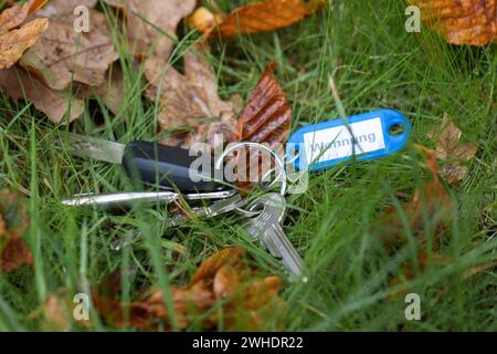 Mazzo di chiavi smarrite con chiavi della macchina sul lato della strada, portachiavi blu con scritta ëapartmentë, foglie autunnali, immagine simbolica, chiavi smarrite, Foto Stock