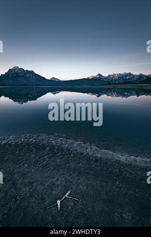 Panorama alpino con riflessi nel Forggensee parzialmente drenato vicino a Füssen all'alba. Letto di lago ghiacciato con palissandro in primo piano Foto Stock