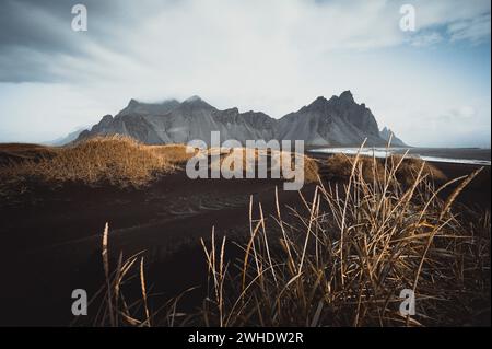 Tumulo di erba sulla spiaggia nera, il monte Vestrahorn, Stokksnes, regione orientale, Islanda Foto Stock
