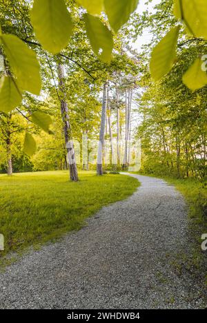 Foresta decidua mista sciolta con percorso di ghiaia in primavera. Sul sentiero di pellegrinaggio Creszentia, Ostallgäu Allgäu, Svevia, Baviera, Germania meridionale, Germania Foto Stock