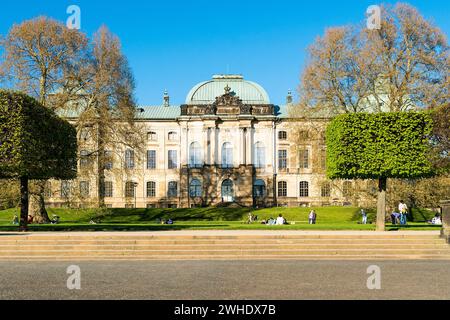 Dresda, rive dell'Elba, Königsufer, passeggiata, Palazzo Giapponese, Museo di storia naturale ed Etnologia Foto Stock