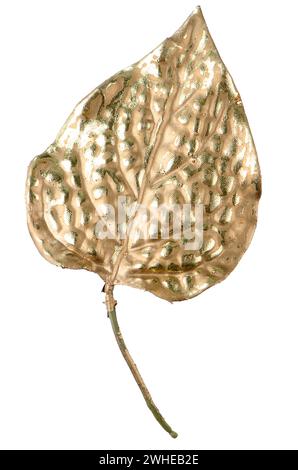 Decorazione di Natale foglie d'oro Foto Stock