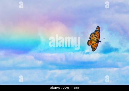 La bellissima farfalla Monarch si innalza su un cielo arcobaleno. Foto Stock